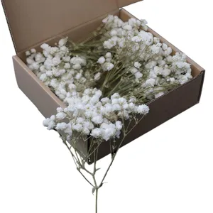 White dried baby's breath flowers in gift box for DIY craft party wedding decor.