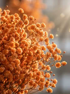 Close-up of vibrant orange dried gypsophila bouquet details for home decor and DIY craft projects.