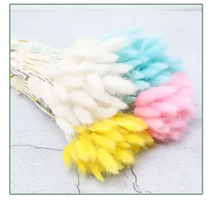 Colorful dried bunny tail grass bouquet for home decor and floral arrangement details.