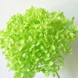 Natural Preserved Hydrangea Dried Flower Single Stem Handmade Wrapped Bouquet Home Decor Floral Arrangement