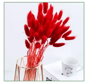 Detailed closeup of vibrant red dried bunny tail grass bouquet in a modern geometric glass vase.