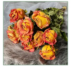 Dried rose bouquet DIY floral material for home decoration and exquisite handmade gifts.