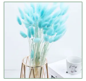 Detailed shot of fluffy blue bunny tail grass dried flowers in a chic geometric glass vase.