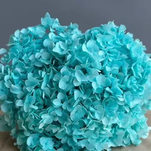 Fiore di ortensia stabilizzata blu per decori interni, fiore secco per composizioni.