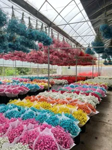 Dried baby's breath bulk preserved flowers for wedding home decor and DIY crafts wholesale.
