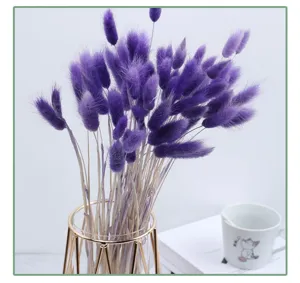 Purple dried rabbit tail grass bouquet in a modern geometric glass vase for home decor.