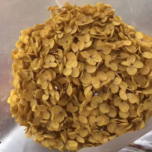 Ortensia preservata fiore secco stelo singolo dorato per decorazione d'interni casa