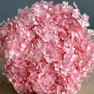 Primo piano di un fiore di ortensia rosa stabilizzato, ideale per decorare la casa nordica.