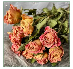Dried roses preserved flower bouquet for DIY gift material floral arrangement home decor.