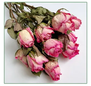 Dried pink roses preserved flower bouquet, large head rose heads with natural green leaves.