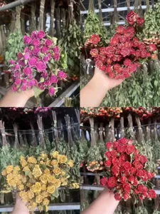 Natural dried rose bouquets in multiple colors, perfect for DIY floral crafts and gifts.