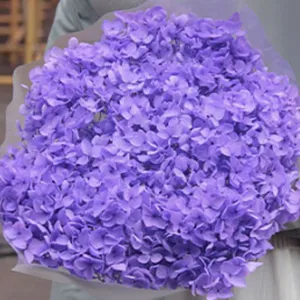 Scatto dettagliato di un bouquet di ortensie ortensia preservate viola per decorazioni.