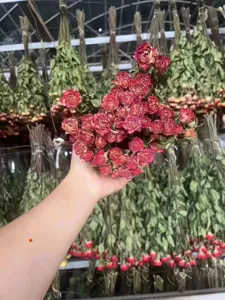 Dried rose flower heads for DIY crafts, natural preserved flowers for home decor and gifts.