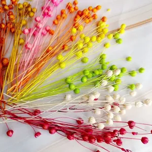 Colorful dried flax flower stems botanical DIY craft floral arrangement home decor bouquet.