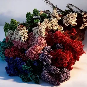Natural Dried Millet Flowers Bouquet Preserved Floral DIY Home Bedroom Decor