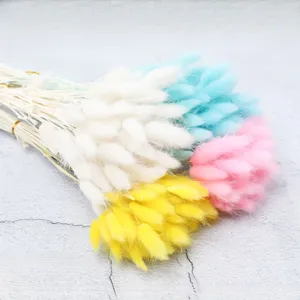 Natural Dried Rabbit Tail Grass Bouquet Fluffy Bunny Tails Dried Flowers For Home Table Decor Floral Arrangement