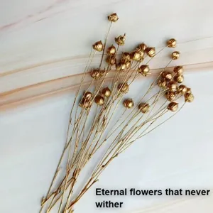 Golden dried flax flower bouquet natural plant botanical decor for DIY crafts floral arrangements
