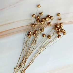 Detail view of golden dried flax seed pods flowers, perfect for DIY floral arrangements and crafts.