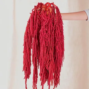 Natural red hanging amaranth dried flowers for wedding decor, floral arrangements, and parties.