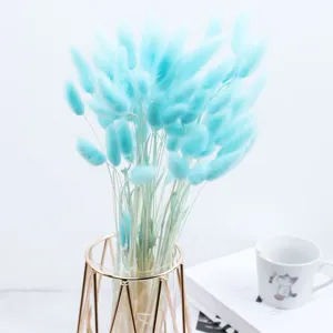 Fluffy blue bunny tail grass dried flowers bouquet for home decor and vase arrangement etc.