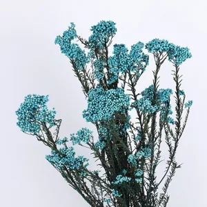 Blue preserved rice flowers dried flower bouquet for home decor and DIY flower arrangements.