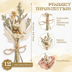 Mini dried flower bouquet set of 12 pieces, natural botanical decor for rustic boho weddings.