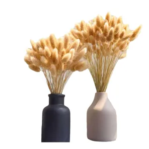 Bunny tail grass dried flowers bouquet with ceramic vases for home decor decoration