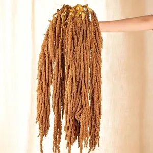 Natural dried foxtail millet flower bunch, premium botanical decor for wedding and home party styling.