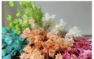 Close up detail of colorful dried star flowers for boho vintage floral arrangement and craft DIY.