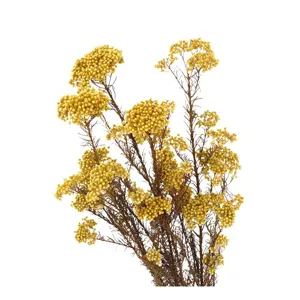Yellow dried millet flowers bunch preserved natural plants home decor DIY floral arrangement