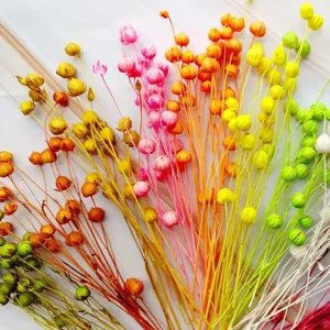 Natural Dried Flowers Preserved Flower Bouquet Plant Home Decor DIY Floral Arranging Craft Supply Natural Botanical Decor