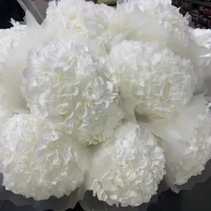 Mazzo di ortensie essiccate bianche fiori conservati decorazione per casa stile nordico