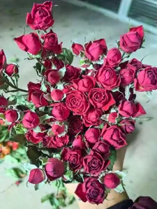 Detailed view of natural red dried roses bouquet, perfect for DIY craft and home decoration.