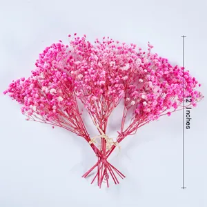 Dried Baby's Breath Gypsophila Flowers Pink 12 Inches Dried Floral Arrangement Bouquet