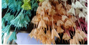 Close-up detail of colorful dried star anise flowers for retro floral arrangement and DIY crafts.