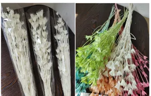 Closeup of colorful dried star anise flowers bouquet, natural DIY floral craft material.