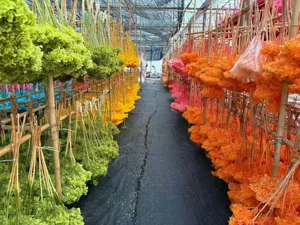 Details of preserved hydrangea flower stems for handmade dried floral bouquets and DIY decor.
