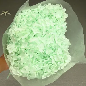 Light green preserved hydrangea bouquet 20cm dried flower handmade floral wrapping decor.