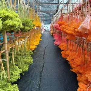 Dried hydrangea flowers bulk natural preserved floral material for handmade DIY bouquet decor