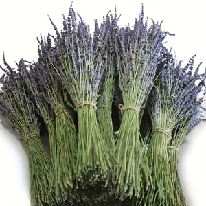 Detailansicht natürlicher getrockneter Lavendelblüten, ideal für Heimdekoration und Aromatherapie.