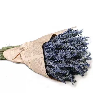 Dried lavender bouquet detail, vintage newspaper wrapping paper, natural home decor floral accent