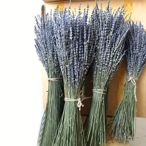 Natürlicher getrockneter Lavendelstrauß für Heimdekoration und Aromatherapie, rustikal.
