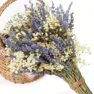 Natürlicher getrockneter Lavendelstrauß mit Schleierkraut im Korb für Heimdekoration Aroma.