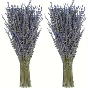 Natürliche getrocknete Lavendelblüten Blumensträuße für Heimdekoration und Aromatherapie.