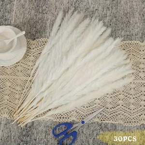 White pampas grass dried flowers bouquet, fluffy natural reed decor for home room 30pcs