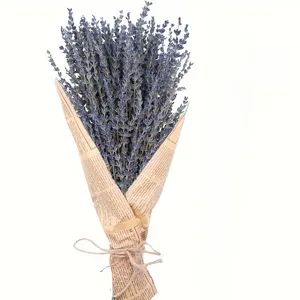 Natural dried lavender bouquet in vintage newspaper wrapping paper for home decor and sleep.