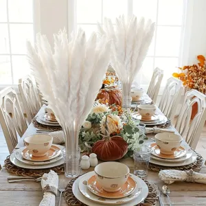 White pampas grass dried flowers bulk fluffy natural reed bouquet for home decor.