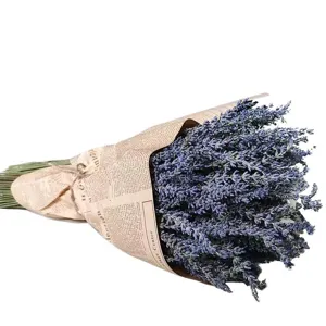 Dried lavender bouquet natural vintage wrapped flowers home decor aromatic sleeping pillow