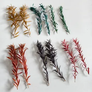 Preserved mini eucalyptus tree branches dried leaves for DIY handmade crafts 7-15cm pack
