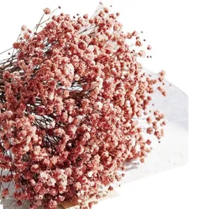 Natural Gypsophila Dried Flowers DIY Material Pack For Home Decor Wedding Party Floral Arrangement Craft Gift